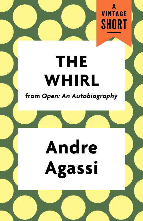 Book cover of The Whirl