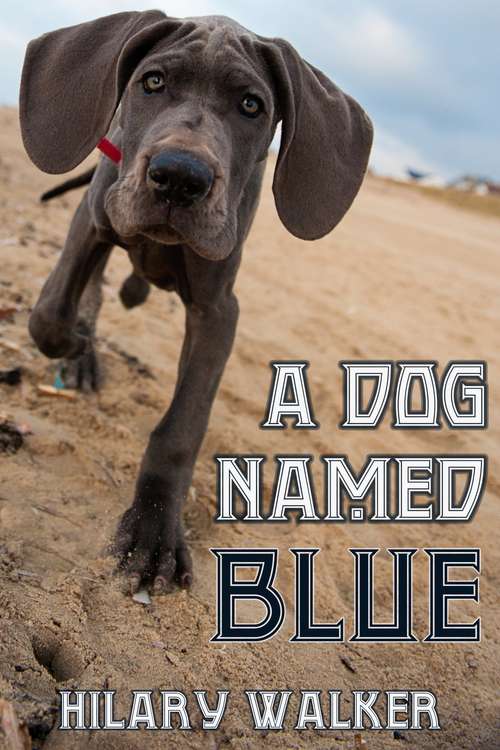 Book cover of A Dog Named Blue