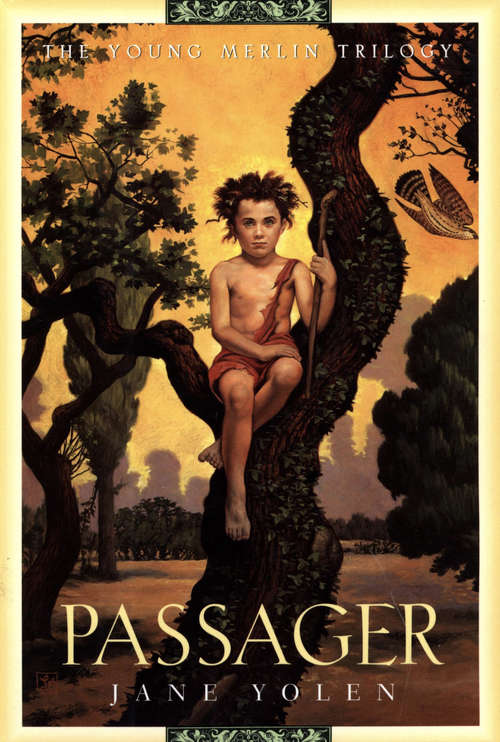 Book cover of Passager (The Young Merlin Trilogy, Book One)