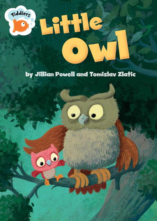 Book cover of Little Owl (Tiddlers #26)