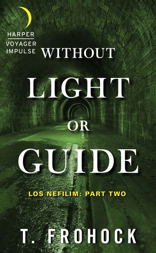 Book cover of Without Light or Guide
