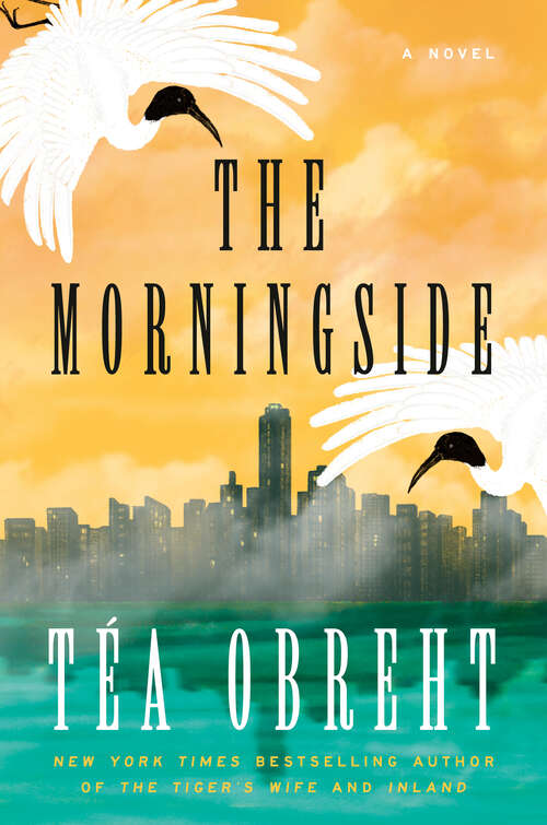Book cover of The Morningside: A Novel