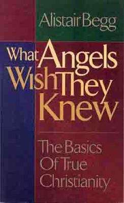 Book cover of What Angels Wish They Knew: The Basics of True Christianity