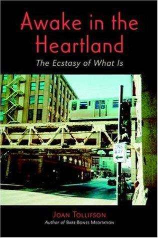 Book cover of Awake In The Heartland: The Ecstasy of What is