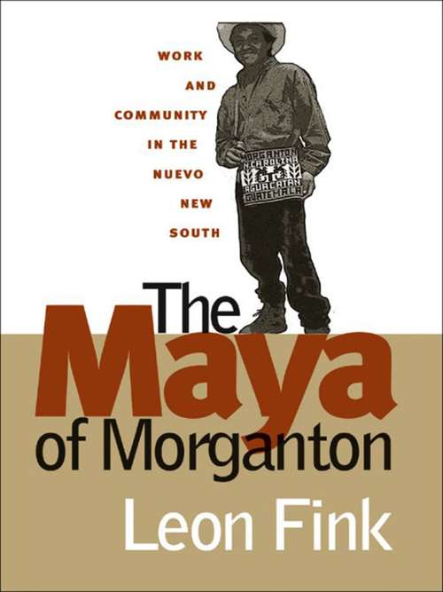 Book cover of The Maya of Morganton