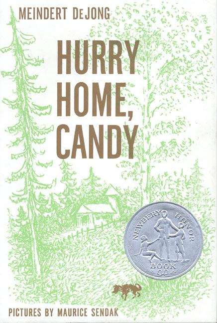 Book cover of Hurry Home, Candy