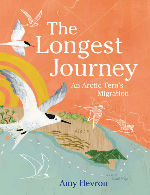 Book cover of The Longest Journey: An Arctic Tern's Migration