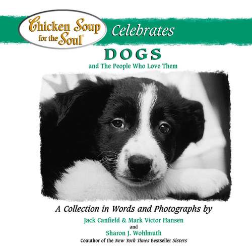 Book cover of Chicken Soup for the Soul Celebrates Dogs and the People Who Love Them
