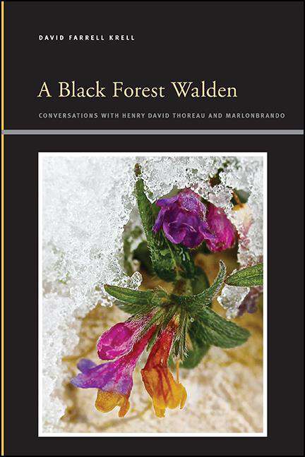 Book cover of A Black Forest Walden: Conversations with Henry David Thoreau and Marlonbrando (SUNY series, Insinuations: Philosophy, Psychoanalysis, Literature)