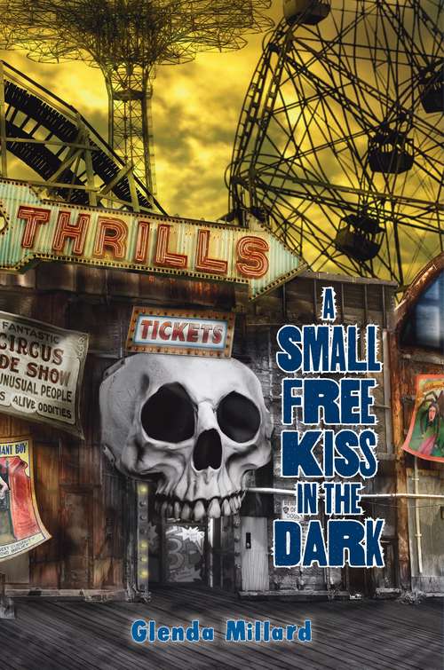 Book cover of A Small Free Kiss in the Dark