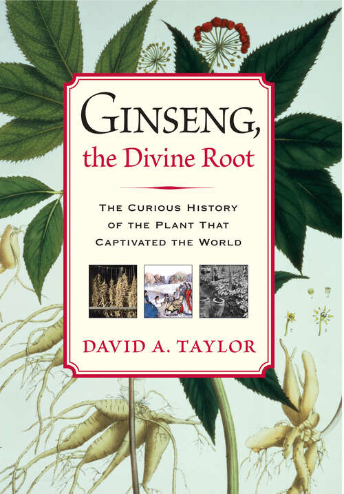 Book cover of Ginseng, the Divine Root: The Curious History of the Plant That Captivated the World