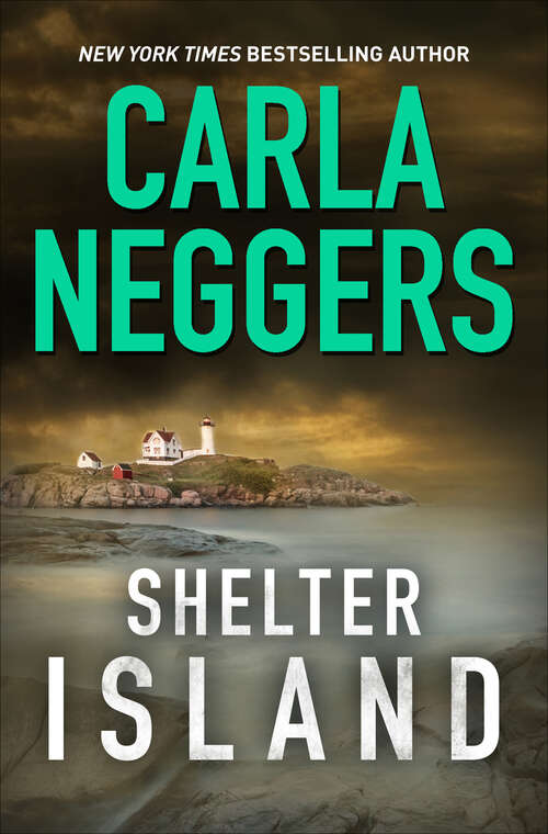 Book cover of Shelter Island