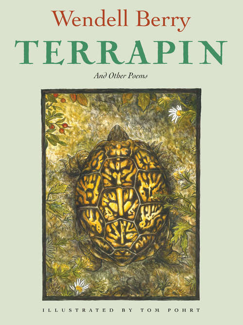 Book cover of Terrapin: Poems by Wendell Berry