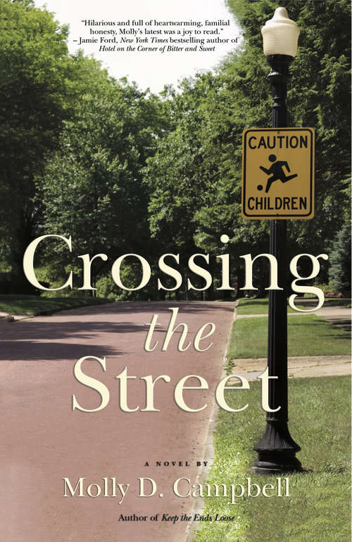 Crossing the Street: A Novel
