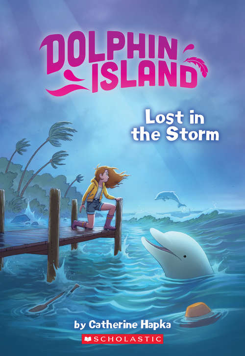 Book cover of Lost in the Storm (Dolphin Island #2)