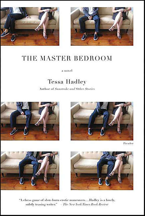 Book cover of The Master Bedroom: A Novel