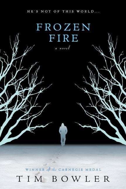 Book cover of Frozen Fire