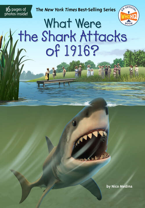 Book cover of What Were the Shark Attacks of 1916? (What Was?)