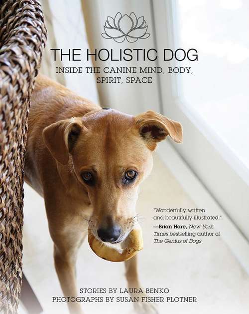 Book cover of The Holistic Dog: Inside the Canine Mind, Body, Spirit, Space (Proprietary)