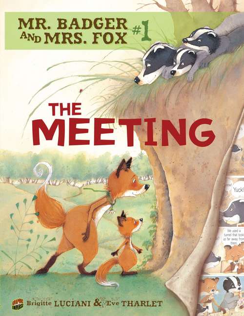 Book cover of The Meeting (Fountas & Pinnell LLI Blue)