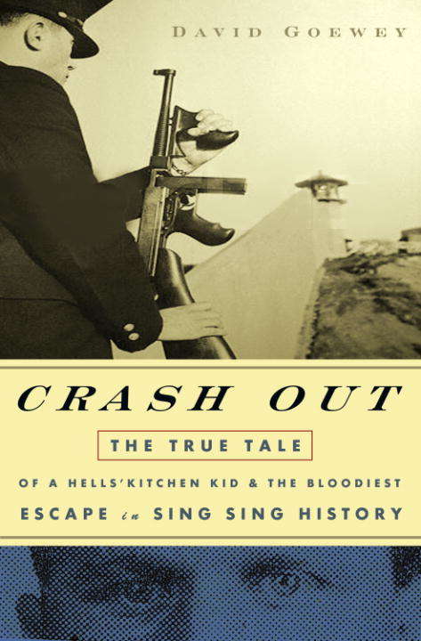 Book cover of Crash Out