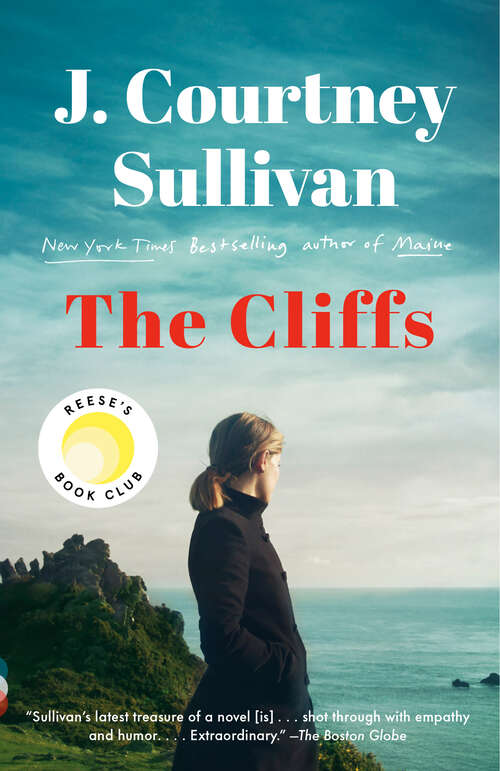 Book cover of The Cliffs: A novel