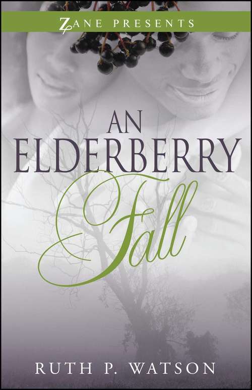 Book cover of An Elderberry Fall