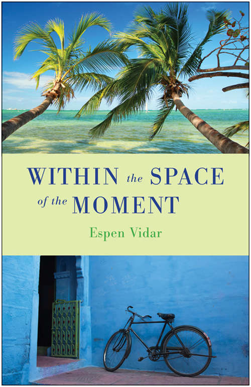 Book cover of Within the Space of the Moment