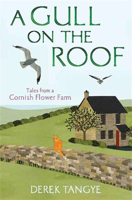 Book cover of A Gull on the Roof: Tales from a Cornish Flower Farm (Minack Chronicles #5)