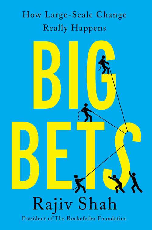 Book cover of Big Bets: How Large-Scale Change Really Happens