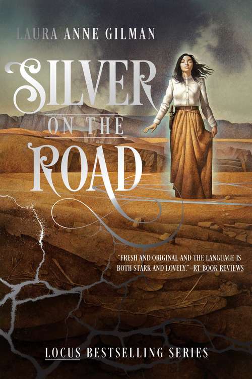 Book cover of Silver on the Road