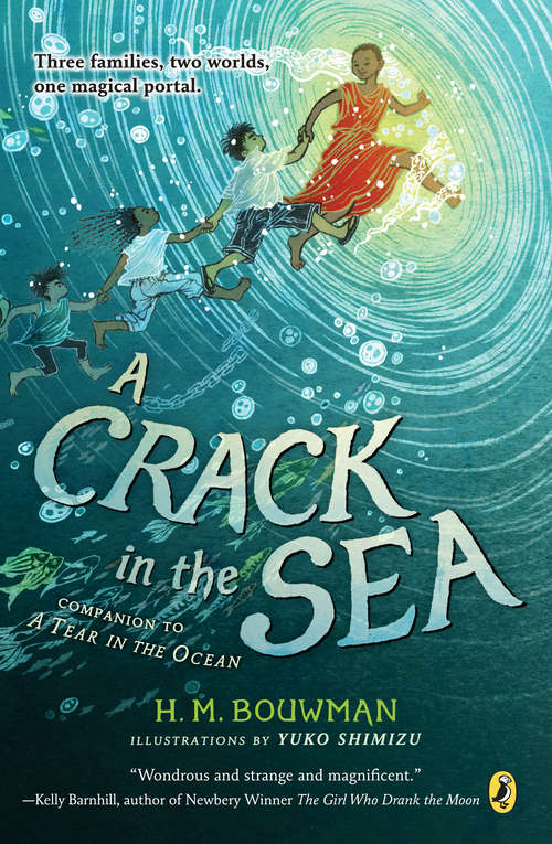 Book cover of A Crack in the Sea