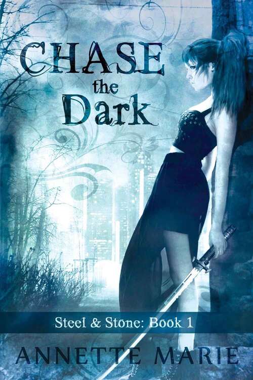 Book cover of Chase The Dark