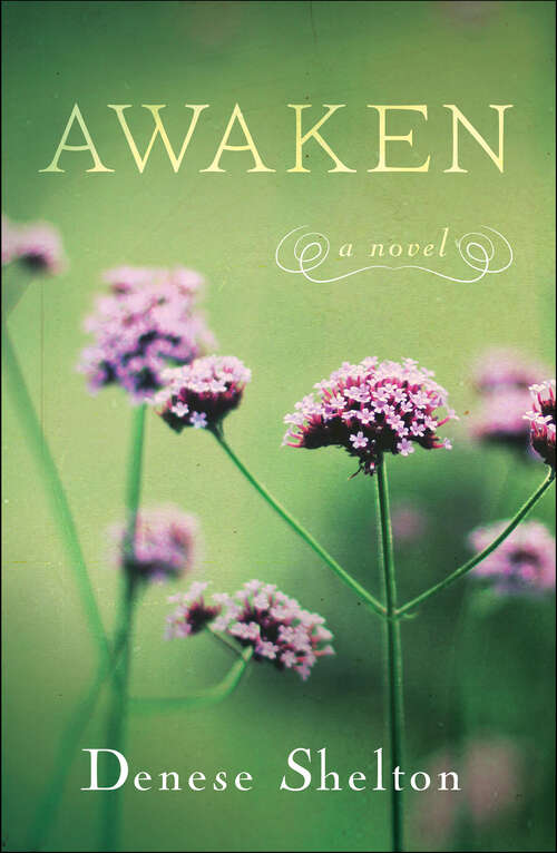 Book cover of Awaken: A Novel