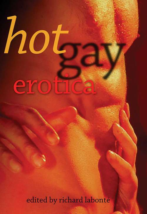 Book cover of Hot Gay Erotica