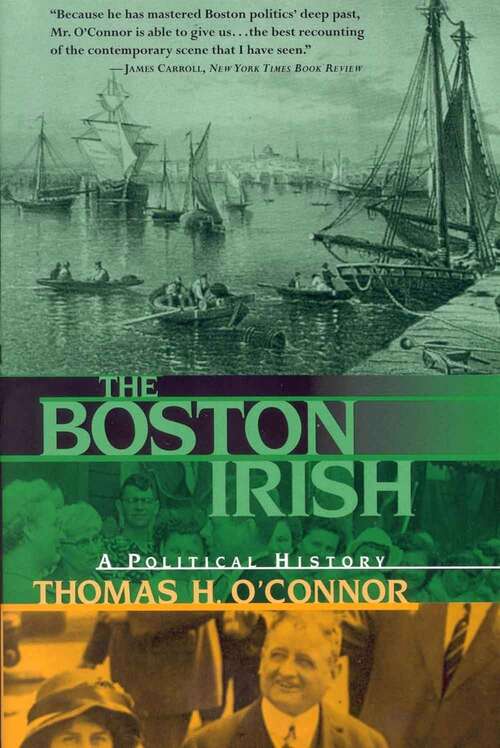 Book cover of The Boston Irish: A Political History