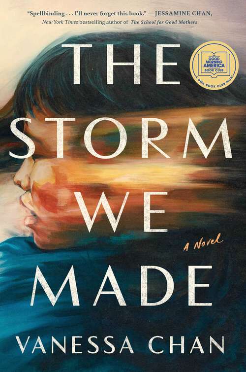Book cover of The Storm We Made: A Novel