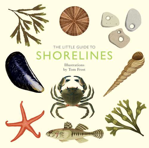 Book cover of The Little Guide to Shorelines (Little Guides)
