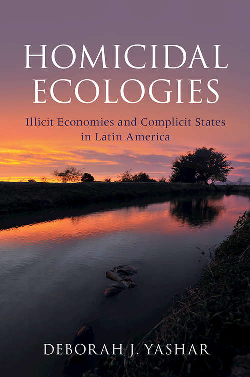 Homicidal Ecologies: Illicit Economies and Complicit States in Latin America (Cambridge Studies in Comparative Politics)