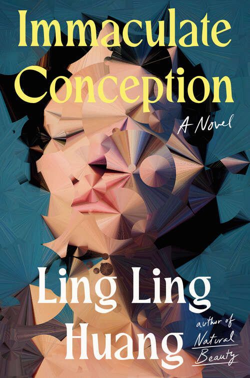 Book cover of Immaculate Conception: A Novel