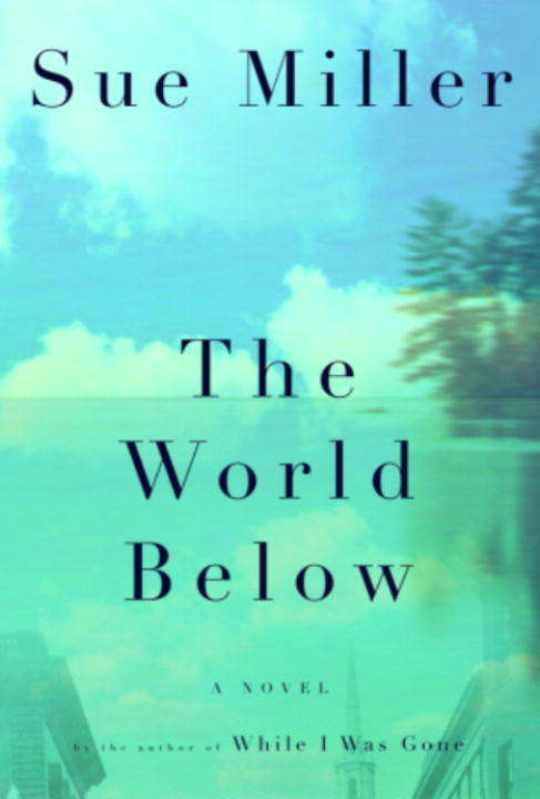 The World Below: A Novel (Charnwood Large Print Ser.)