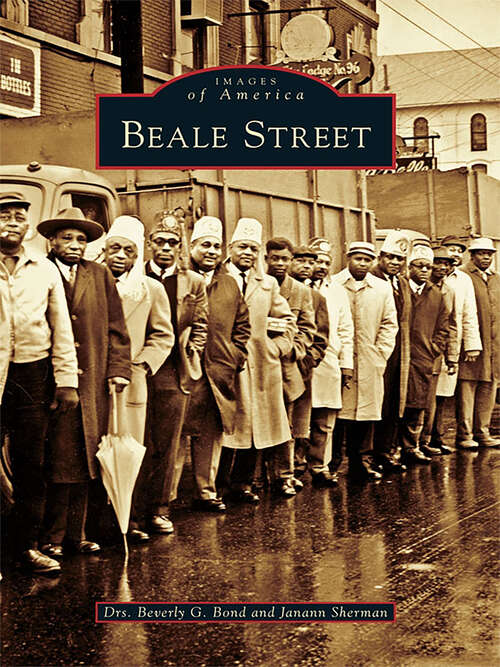 Book cover of Beale Street