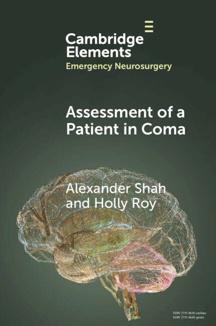 Book cover of Assessment of a Patient in Coma (Elements in Emergency Neurosurgery)