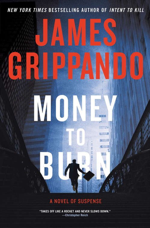 Book cover of Money to Burn
