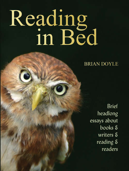 Reading In Bed: Brief headlong essays about books & writers & reading & readers