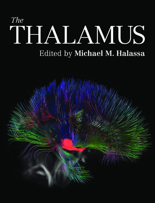 Book cover of The Thalamus
