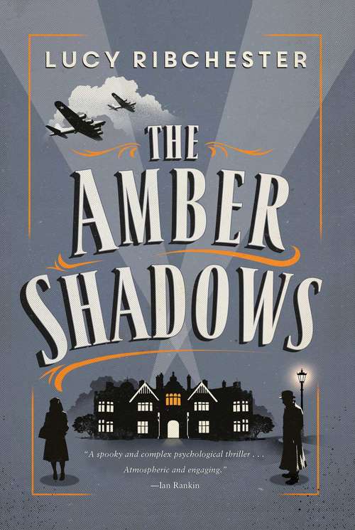 Book cover of The Amber Shadows: A Novel
