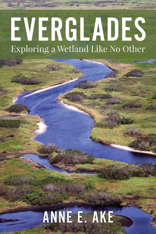 Book cover of Everglades: Exploring a Wetland Like No Other (1st Edition)