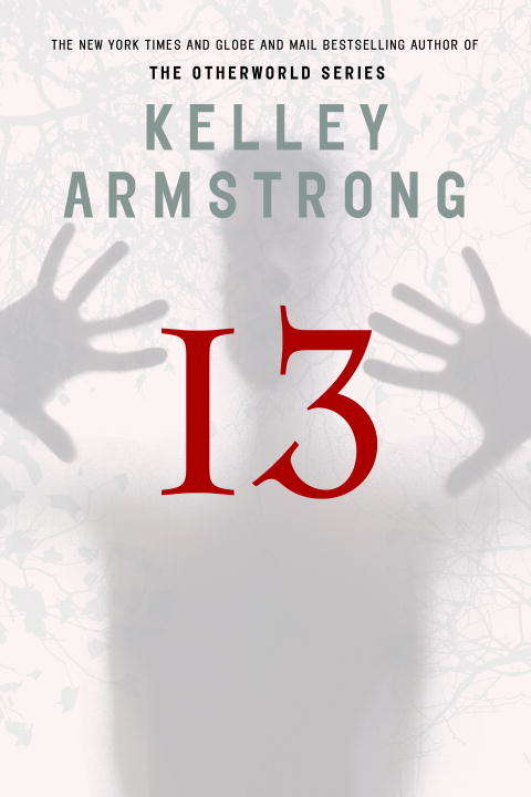 Book cover of Thirteen