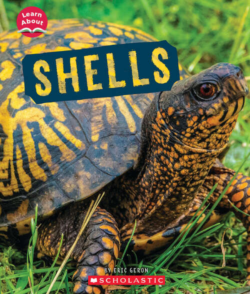 Book cover of Shells (Learn About)